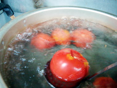 トマト煮鯖